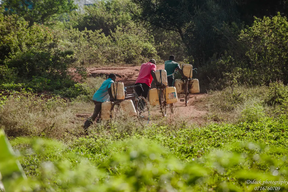 Men ride bicycles carrying water containers over long distances in search of water for their familie
